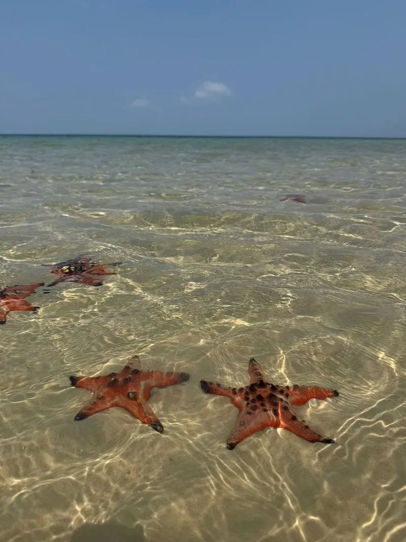 Экскурсия "Приключение на реке и море" на Фукуоке