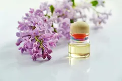 🌺 Эфирные масла и ароматы