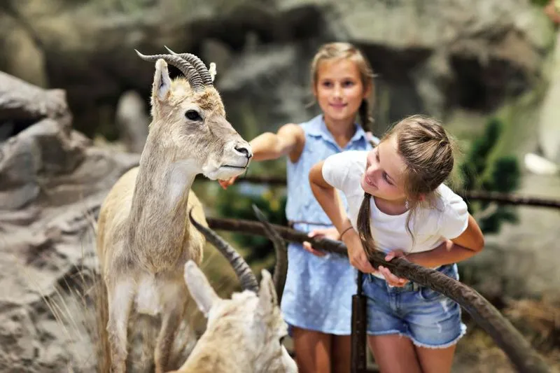 🦌 Посещение горного зоопарка