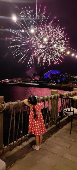 ВЕЧЕРНИЙ ФЕЙЕРВЕРК 