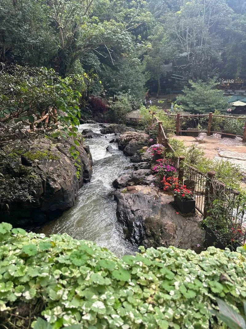 Экскурсия из Дананга в Далат с перелётом: природа, кофе и прохлада гор