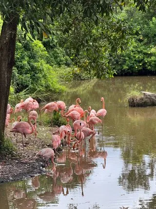 ПАРК VINPEARI SAFARI