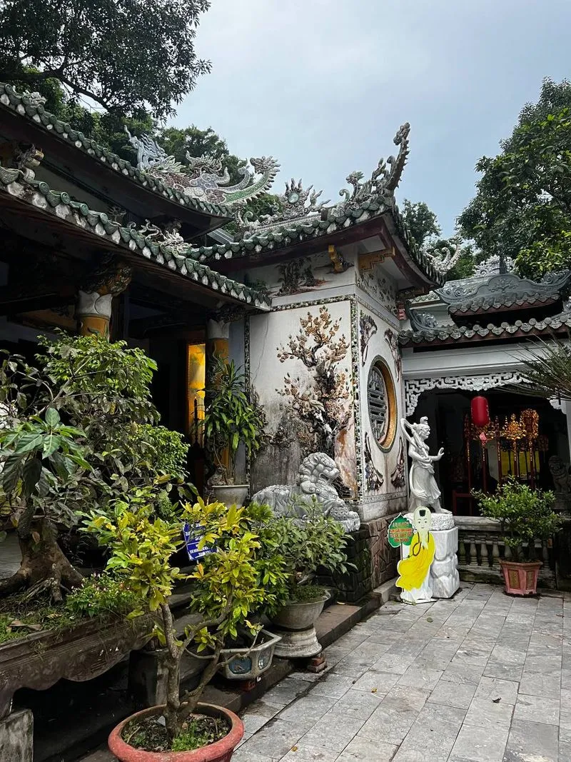 Индивидуальная обзорная экскурсия по Данангу: маршрут, стоимость и главные достопримечательности