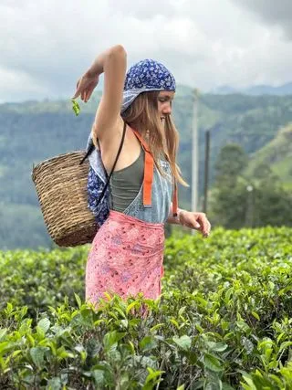 ЧАЙНАЯ ПЛАНТАЦИЯ