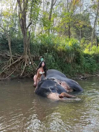 КАТАНИЕ НА СЛОНАХ