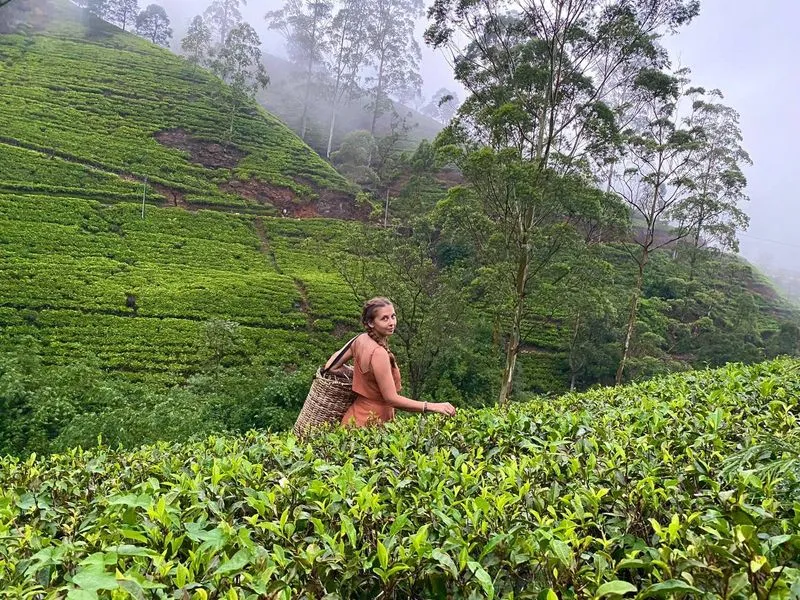 Не ограничивайтесь только пляжем — исследуйте окрестности