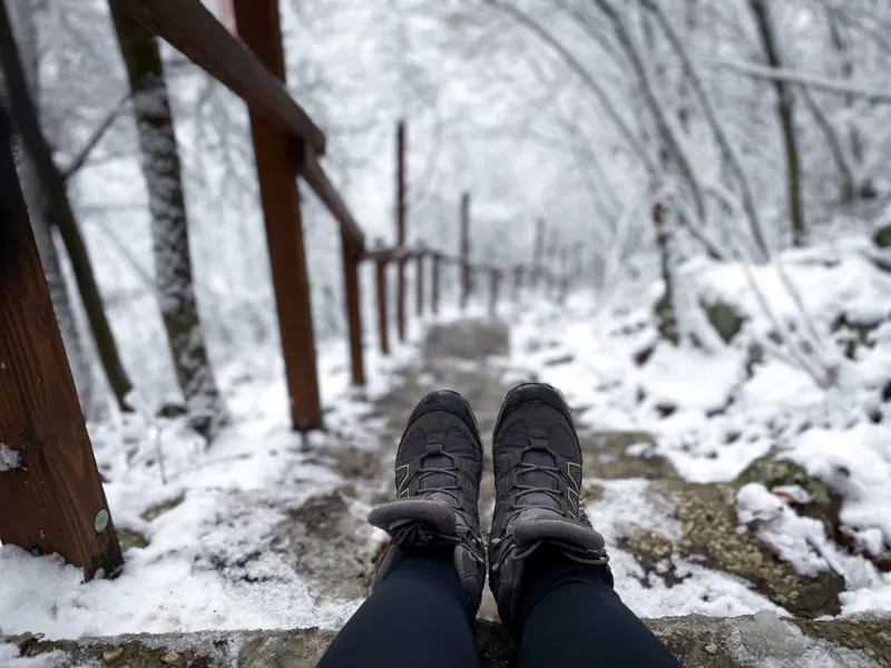 👟 Выбирайте удобную обувь для прогулки по лесу