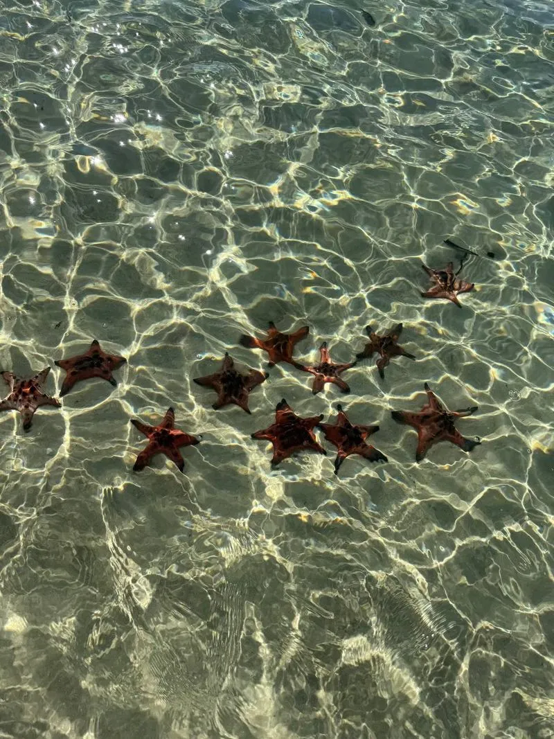 Экскурсия "Приключение на реке и море" на Фукуоке