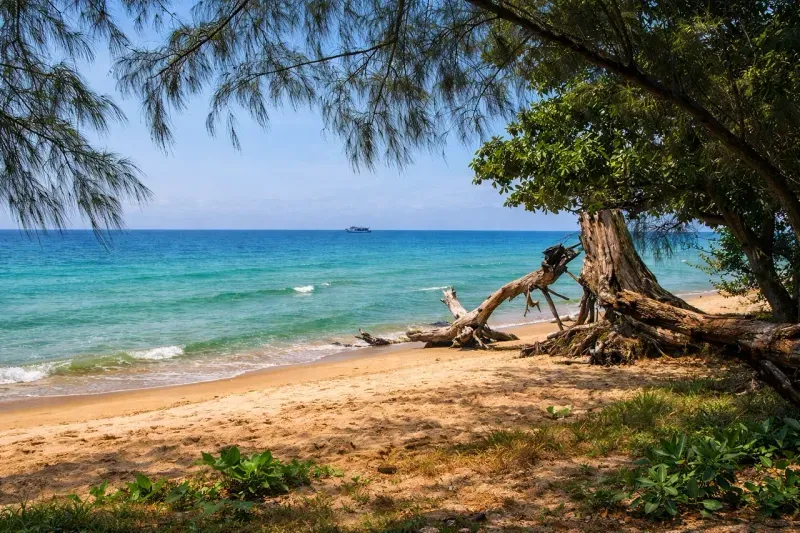 🌿 Вунг-Бау