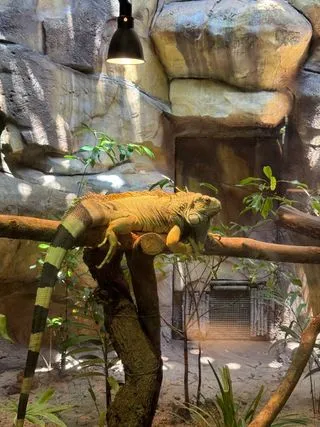 ПАРК VINPEARI SAFARI