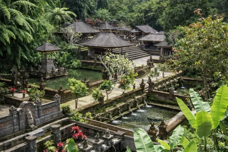 Экскурсия в Кинтамани на Бали: рисовые террасы, храм Пура Джати и кофе с видом на вулкан