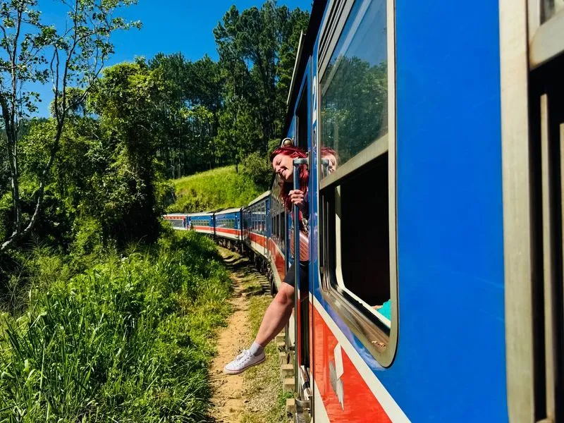 Комбо-тур Элла Сигирия и слоны