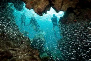 ОПЫТНЫЕ ИНСТРУКТОРЫ