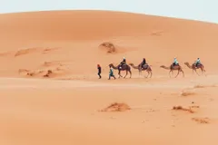 🌅 Оставьте вечер свободным