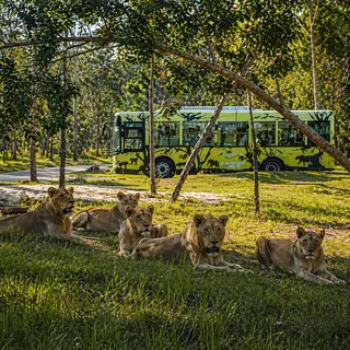 VINPEARL SAFARI