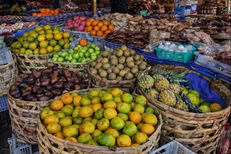 Индивидуальная экскурсия "Скрытые сокровища Бали: путешествие на север острова"