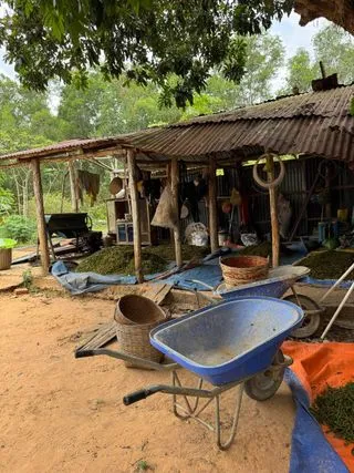 РЫБАЦКАЯ ДЕРЕВНЯ