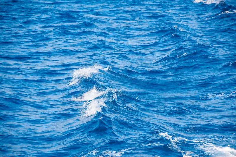 🌊 Будьте готовы к морскому бризу