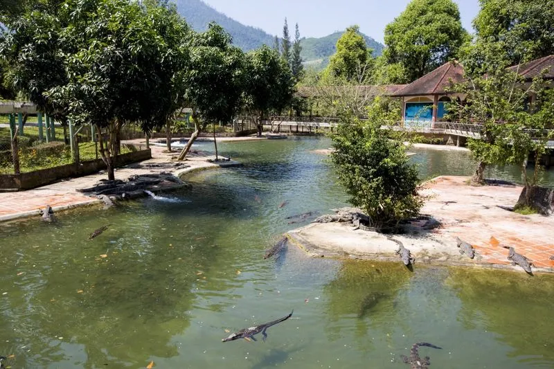 Экскурсия на термальные источники и водопад Янг Бэй в Нячанге