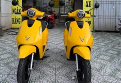 VinFast Electric Evo
