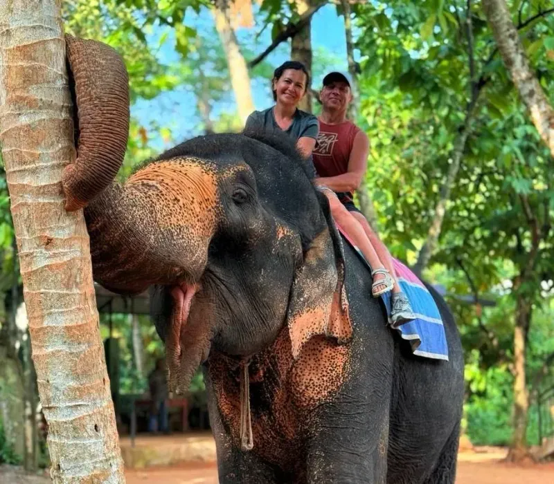 Местная кухня