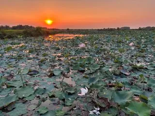 ОЗЕРО ТОНЛЕСАП