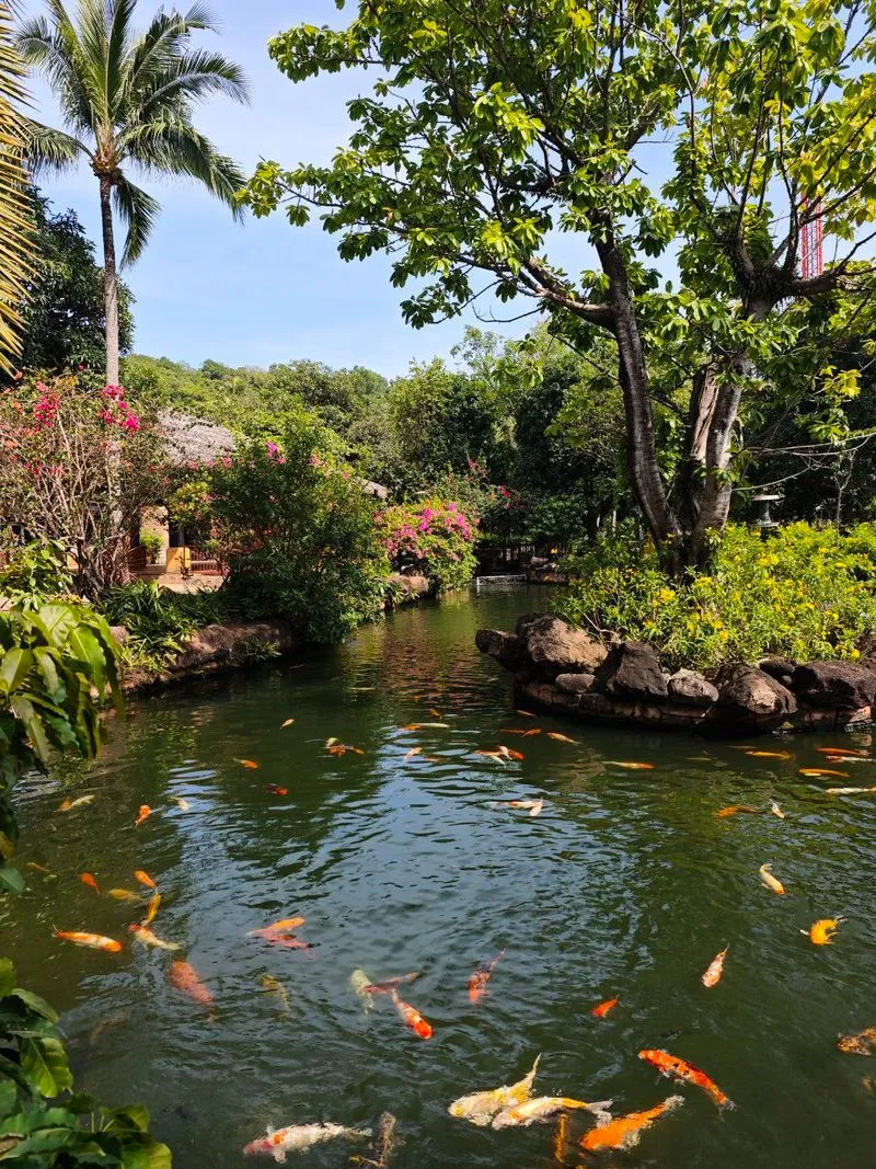 Экскурсия по югу Фукуока с канатной дорогой и аквапарком Aquatopia