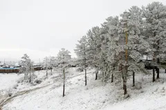 ❄️Зимний сезон