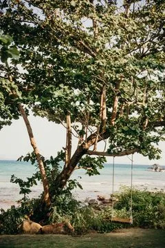 🏝️ Отели в природном окружении