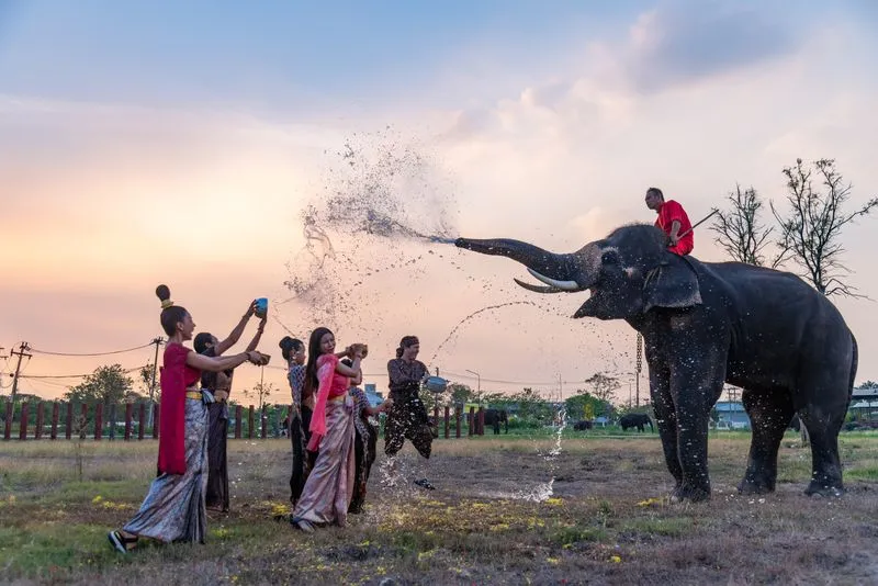 Pinnawala Elephant Orphanage (Слоновий питомник)