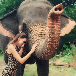 СЛОН У СИГИРИИ