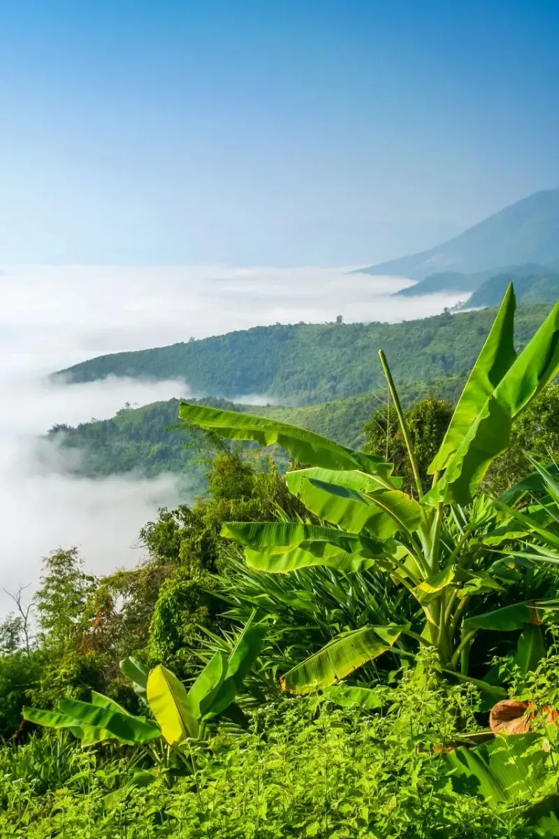 Индивидуальная экскурсия на Бали Восхождение на вулкан Батур