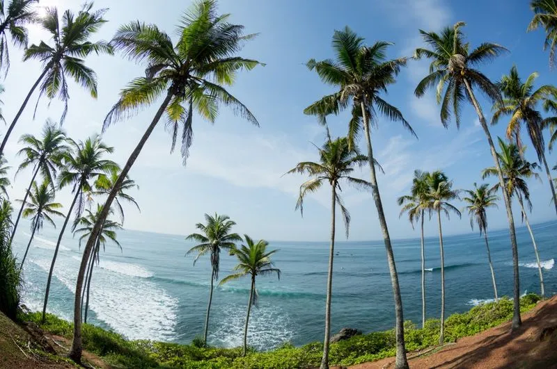 🌴 Юго-Запад Шри-Ланки — популярные пляжные курорты