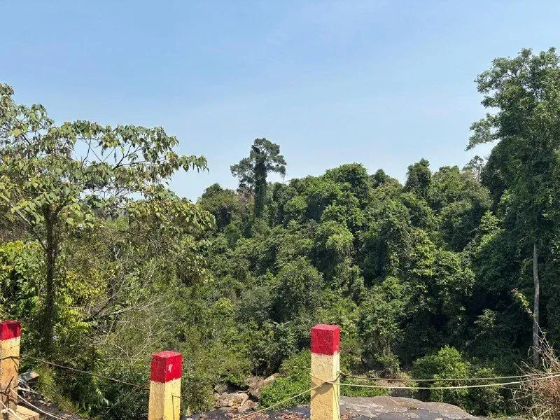 Национальный парк Пном Кулен: экскурсия на 1 день