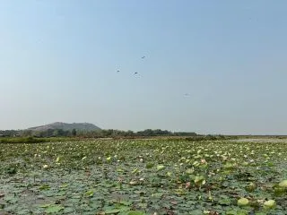 ОЗЕРО ТОНЛЕСАП