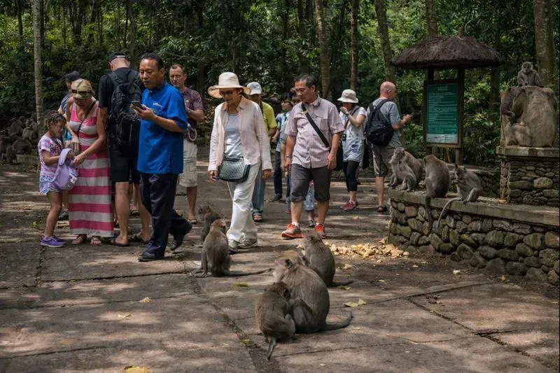 Индивидуальная экскурсия по Убуду Открывая сердце Бали