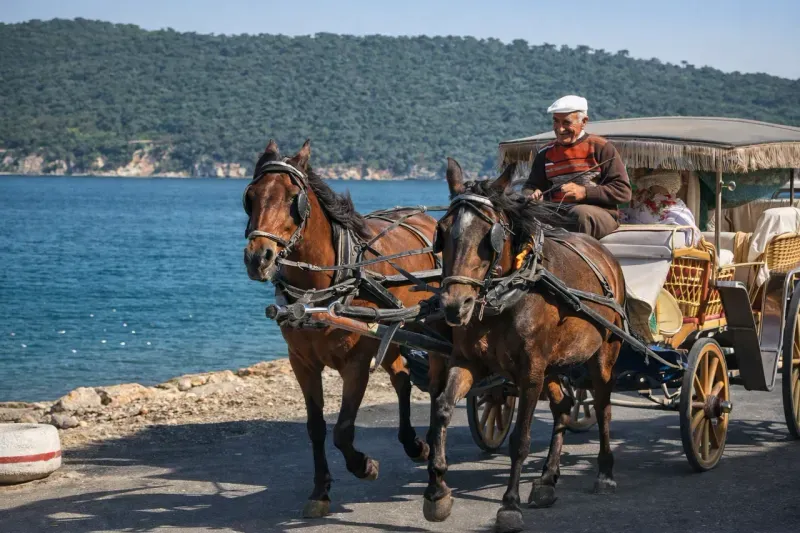 Экскурсия из Стамбула на Принцевы острова