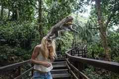 🐒 Соблюдайте осторожность в Лесу обезьян