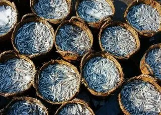 ФАБРИКА РЫБНОГО СОУСА